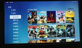 坚果品鉴爆料视频,视频爆料带你领略美味坚果的魅力